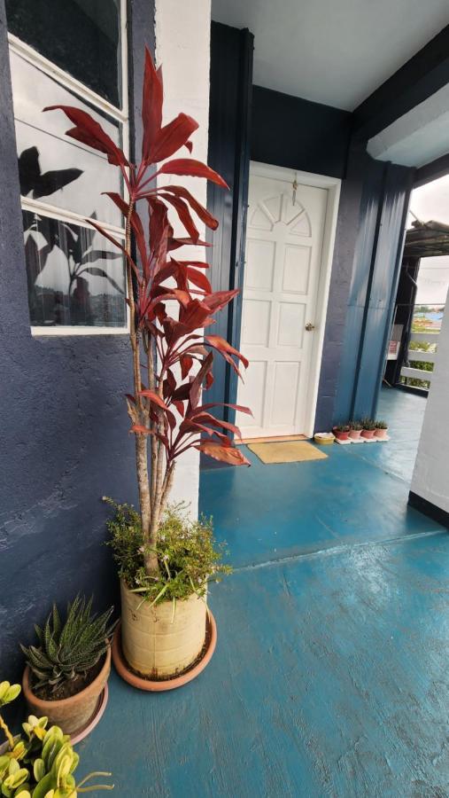 Havilah House Baguio City Exterior foto